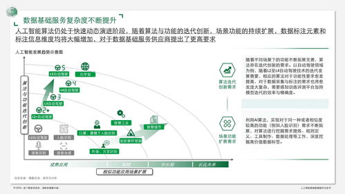 人工智能基礎(chǔ)數(shù)據(jù)服務(wù)白皮書 數(shù)據(jù)驅(qū)動，軟件賦能